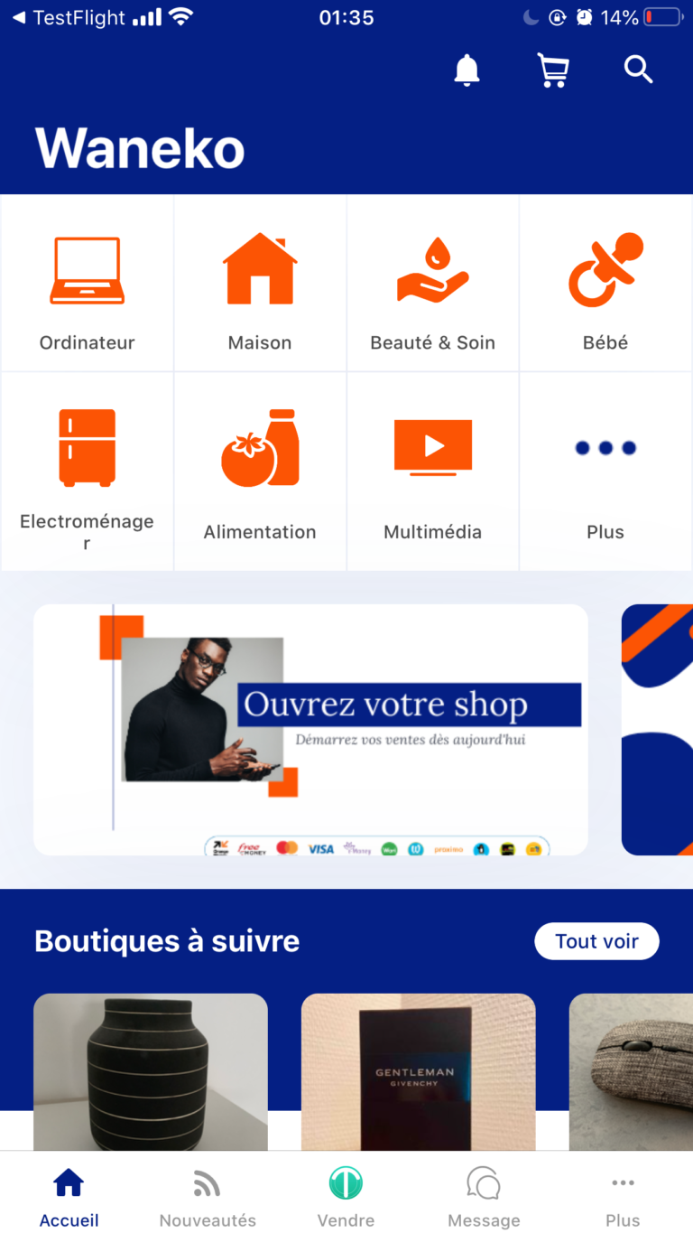 French Marketplace in Africa