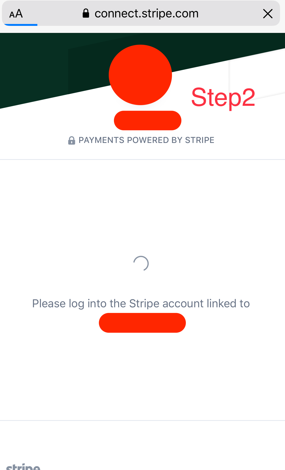 stripe-verification